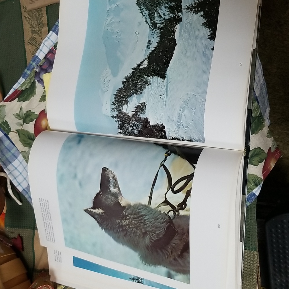 ✨ALASKA PHOTO BOOK - Picture 7 of 12